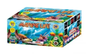 Marine Life
