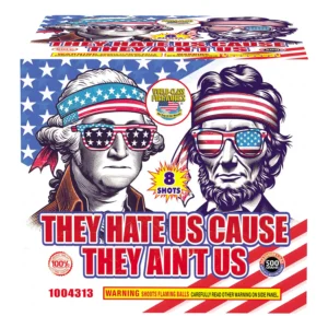 Hate Us/Aint Us 6/1