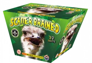 Scatter Brained