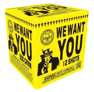 We Want You 12 shots