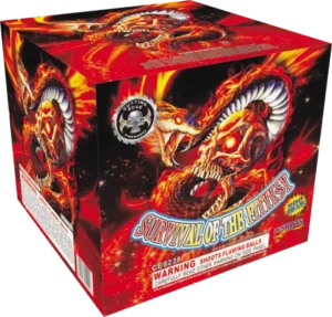 Survival of the Fittest 500gm 16's, 500 gram