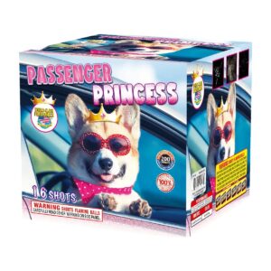 Passenger Princess