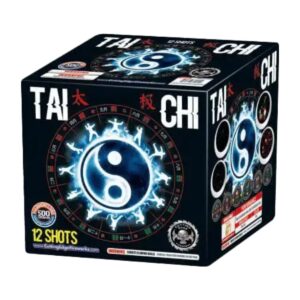 Tai Chi