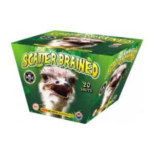 Scatter Brained