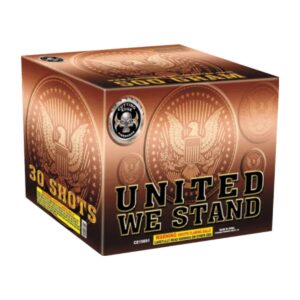 United We Stand