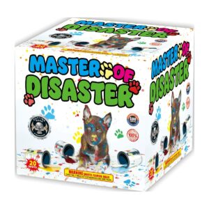Master of Disaster