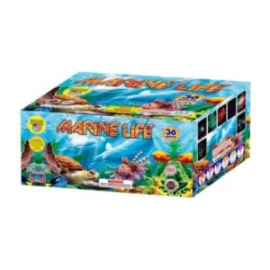 Marine Life