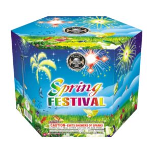 Spring Festival