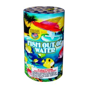 Fish out of Water